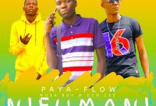 Paya-Flow-ft-MusaBoy-x-Den-Zee-Sky-Rock-Nimufumani-mp3