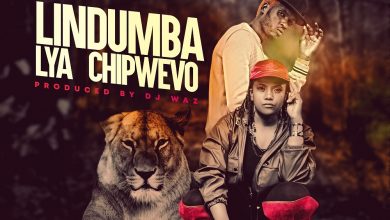 MoMo-DiVa-ft-Waz-Waz-Lindumba-Lya-Chiwevo-mp3