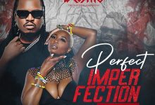 DJ-Cosmo-ft-Zani-Challe-Perfect-Imperfection-mp3