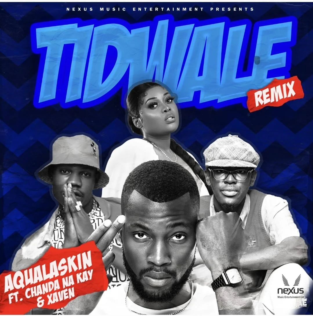 Aqualaskin-ft-Chanda-Na-Kay-Xaven-Tidwale-Remix-mp3