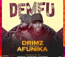 Drimz ft. Afunika - Demfu