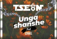 T-Sean-ft-Izreal-Ungashanshe-mp3-image