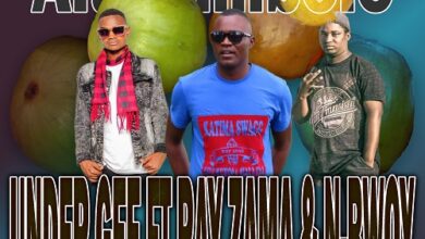 Under-Gee-ft-Ray-Zama-N-Bwoy-Alumimbole-mp3-image