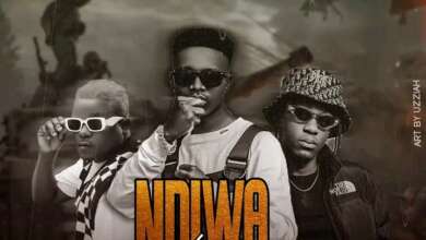 Chuzhe Int ft. T Sean & Bow Chase - Ndiwa Last Mp3 Download