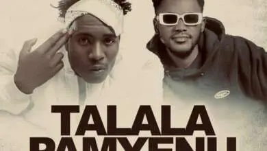 Y Celeb ft. Falee Boy - Talala Pamyenu Mp3 Download